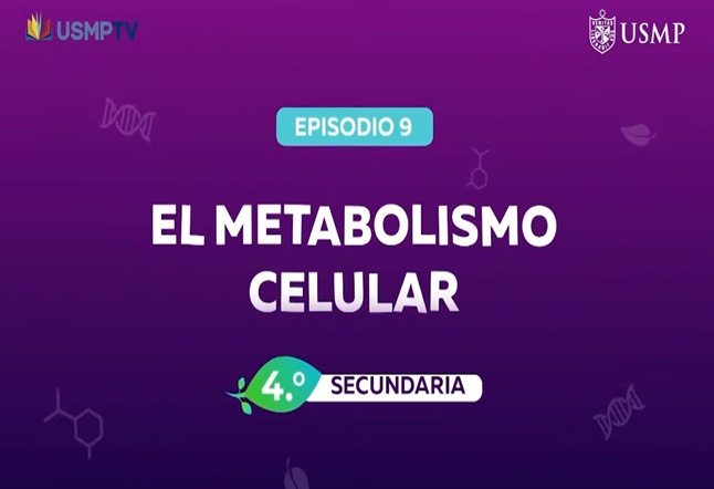 Capítulo N° 9 - El Metabolismo Celular